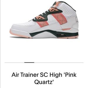 Nike Air Trainer SC High
White Pink Green

100% Authentic

Condition: used